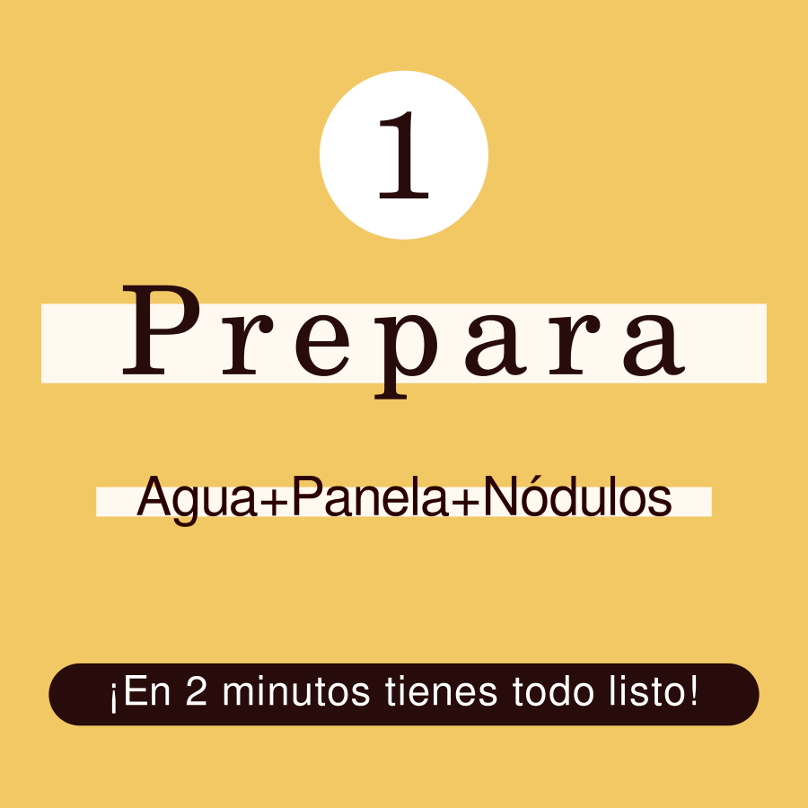 Paso 1: preparar el cultivo de kéfir de agua